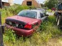 Red Crown Vic