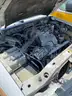 2009 Ford Ranger