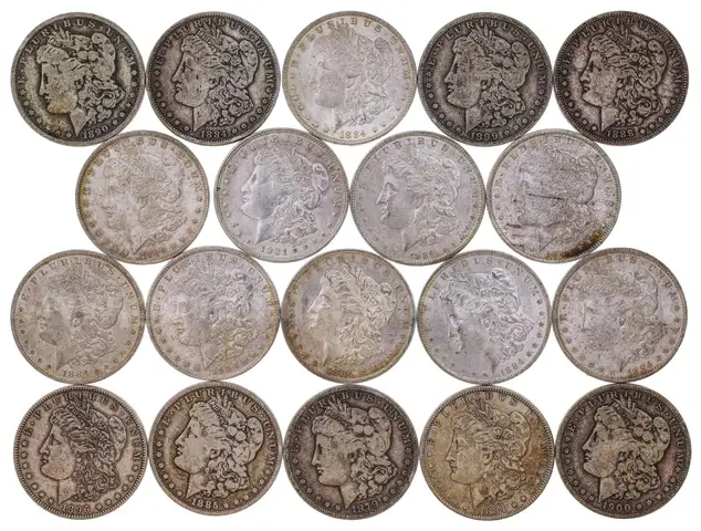 Morgan Dollar Lot