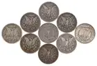 Morgan Dollar Lot