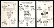 Body Building Books