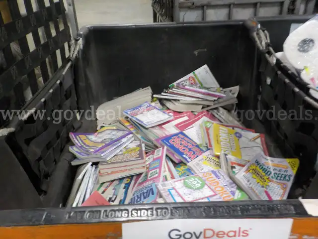 Books: &#x22;Puzzle Books&#x22; (ASCNOV25-0028)