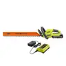 40V 24 in. Cordless Battery Hedge Trimmer with 2.0 Ah Battery and Charger