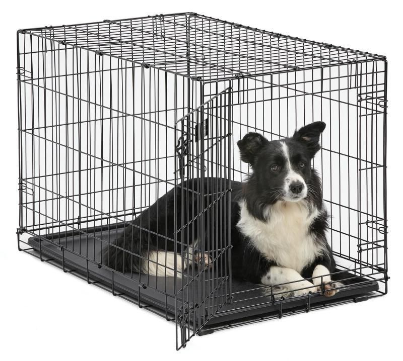 30 19 21 dog crate