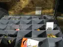 Fishing Gear