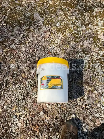 8 qt Insulated Minnow Bucket (4)