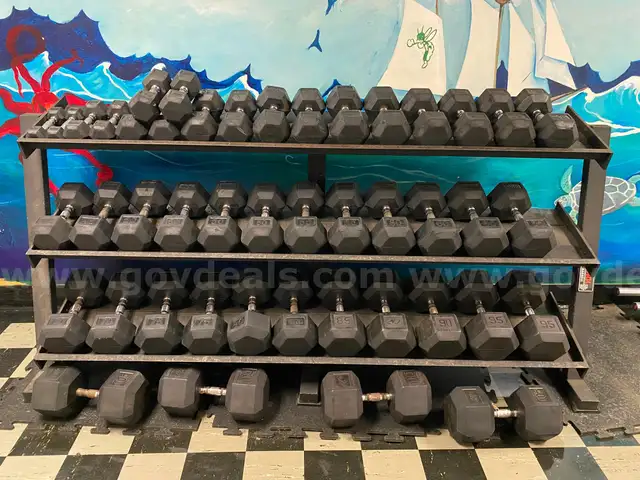 Rubber Hex Dumbbell Set and York Dumbbell Rack