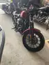 2013 Harley-Davidson XL883N