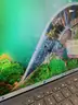 Surface Pro 7