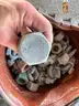 LOT: Large Qty Of A325T &#x26; Chicago 3/4&#x22; Wire Rope Clips