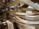 2019 Komatsu WA470-8 4WD Articulated Wheel Loader