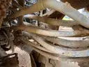 2019 Komatsu WA470-8 4WD Articulated Wheel Loader