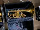 Lot of 13 Mellophones