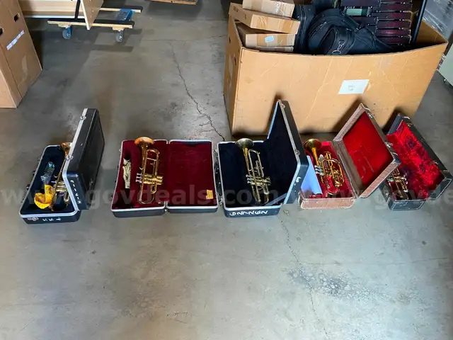 Lot of 5 Trumpets