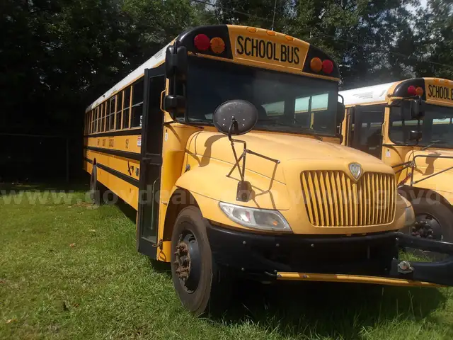 2015 International 3000