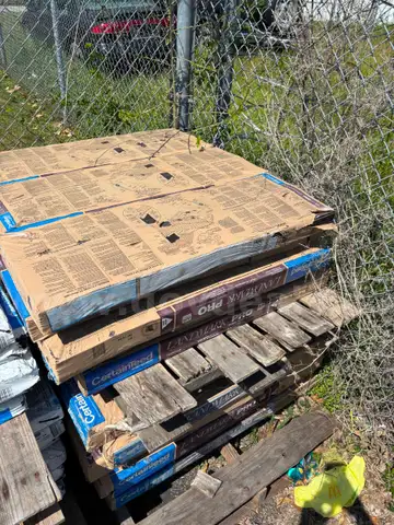 Roof Shingles