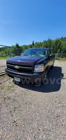 2009 Chevrolet Silverado 1500 Work Truck 4WD