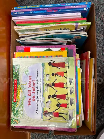 11 boxes of elementary library book discards