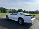 1986 Pontiac Firebird Trans Am V8