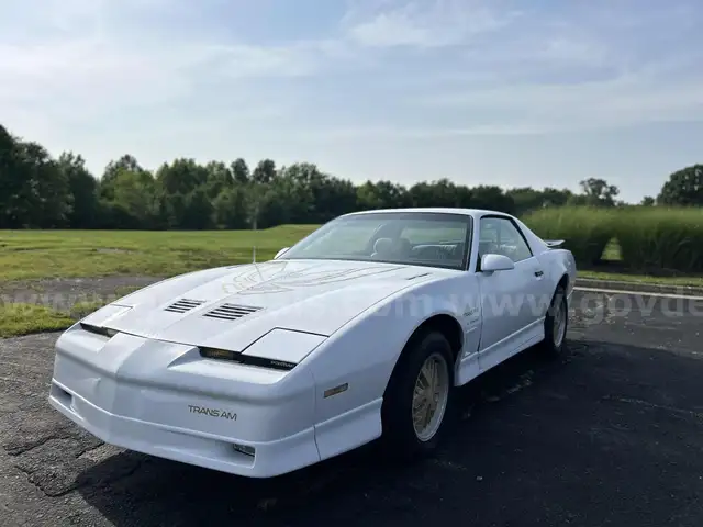 1986 Pontiac Firebird Trans Am V8