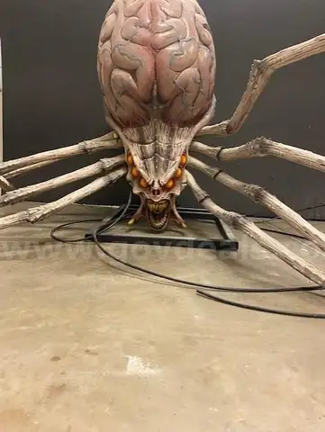 Halloween Alien Jumping Spider