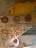 Commercial Refrigerator