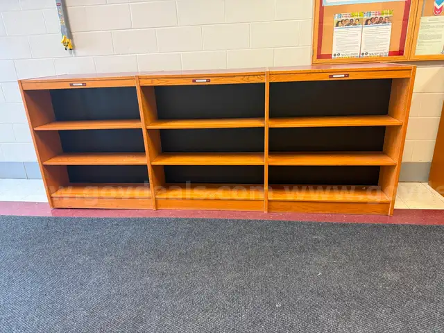 Double Sided Library Shelves