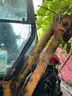 1992 Ford 555D Backhoe
