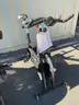 SCHWINN SPIN BIKE