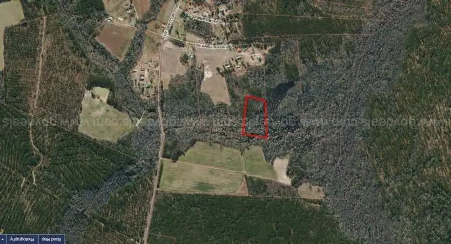 Tax Foreclosure Sale - Wooded, Residential Lot