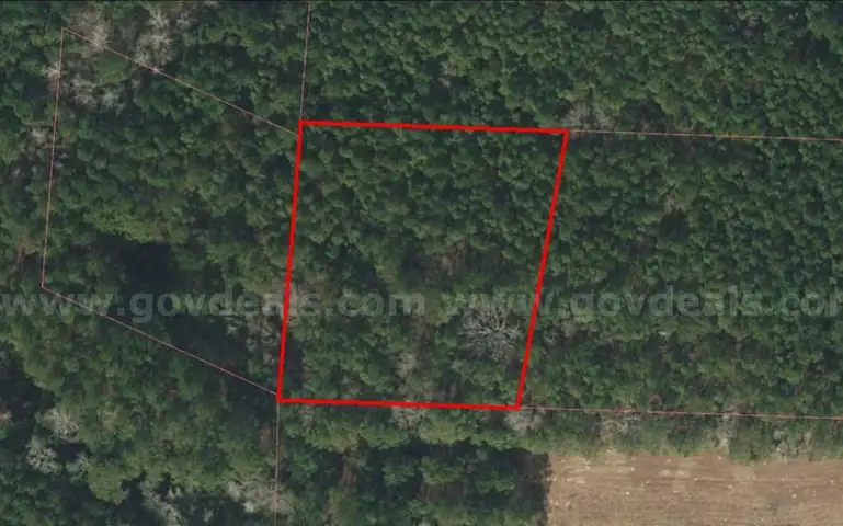 Tax Foreclosure - Wooded, Residential Lot