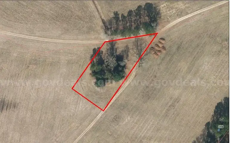 Tax Foreclosure Sale - cleared/wooded lot