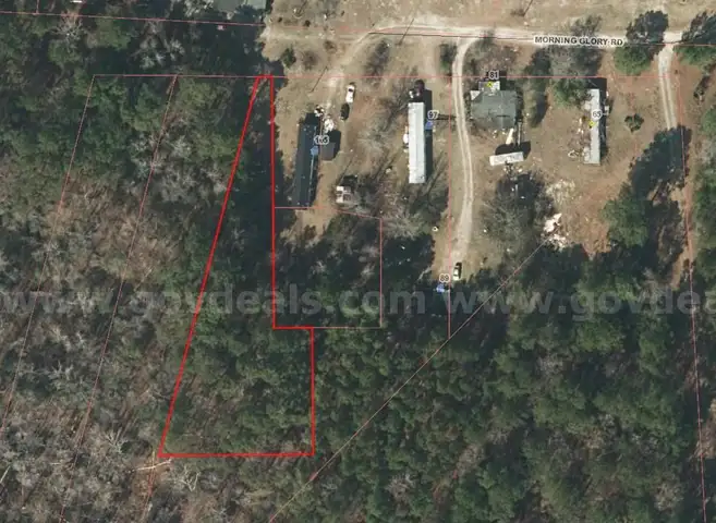 Tax Foreclosure Sale - Wooded, Residential Lot