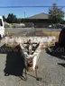 Eager Beaver 18&#x27;L x 8&#x27;W Tilt Deck Trailer