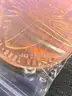 ONE 1 OZ OUNCE COPPER ROUND- CAN SHIP!! MA