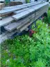 BUNK OF 37 2x6x10&#x27; DIMENSIONAL LUMBER BOARDS!! - CONSTRUCTION - CRAFTS - BUILDING - LOCAL PICKUP ONLY! MA