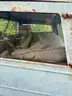 1950s? JEEP  WILLYS OVERLAND M38A1?- WILL SHIP!!