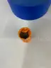 SEALED 20 COIN ROLL US U.S. UNITED STATES BUFFALO NICKELS COINS MONEY CURRENCY - WILL SHIP!! MA