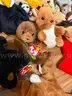 TY  VINTAGE BEANIE BABY LOT of 78  - CAN SHIP!!! MA