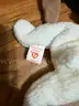 TY  VINTAGE BEANIE BABY LOT of 78  - CAN SHIP!!! MA