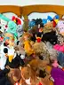 TY  VINTAGE BEANIE BABY LOT of 78  - CAN SHIP!!! MA