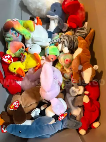 TY  VINTAGE BEANIE BABY LOT of 78  - CAN SHIP!!! MA