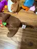 TY  VINTAGE BEANIE BABY LOT of 78  - CAN SHIP!!! MA