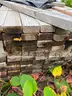 BUNK OF 120 2X4X10ft DIMENSIONAL LUMBER BOARDS!! - CONSTRUCTION - CRAFTS - BUILDING - LOCAL PICKUP ONLY! MA