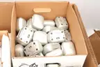1 Pallet - 3714pc. Bulk Lot of Hearing Aid Accessories Sonova, Phonak, Unitron, Hansaton Approx. Acquisition Value $540k