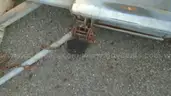 Trailer Dolly with 2 inch Ball Hitch