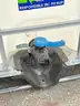 1 each - 260 gal, T260 plastic tote w/metal frame