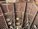 Tree grates, cast iron, approx. 350 halves
