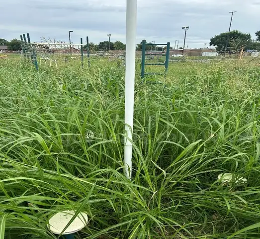 Exercise set, steel and plastic