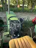 Tractor - John Deere 2955